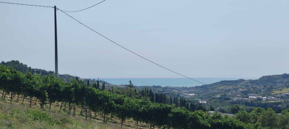 7610m² Land in Acquaviva Picena, Italy No. 309762 29