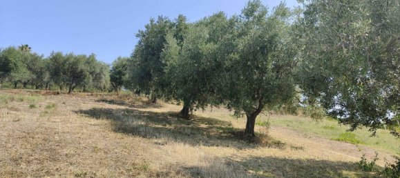 7610m² Land in Acquaviva Picena, Italy No. 309762 17