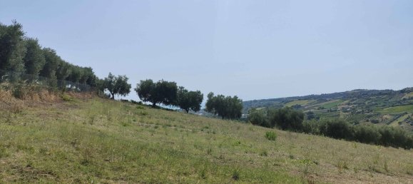 7610m² Land in Acquaviva Picena, Italy No. 309762 22