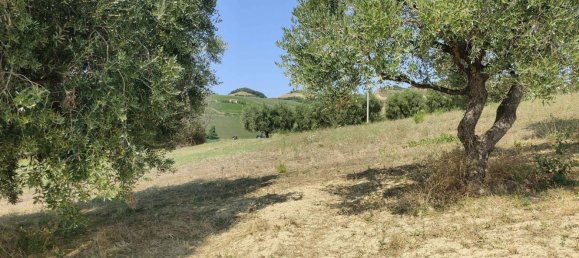7610m² Land in Acquaviva Picena, Italy No. 309762 12