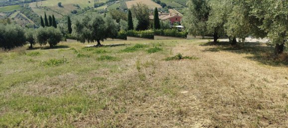 7610m² Land in Acquaviva Picena, Italy No. 309762 13