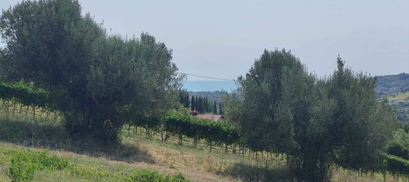 7610m² Land in Acquaviva Picena, Italy No. 309762 10