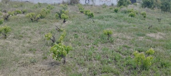 3 bedrooms House in Mijas, Spain No. 53534 19