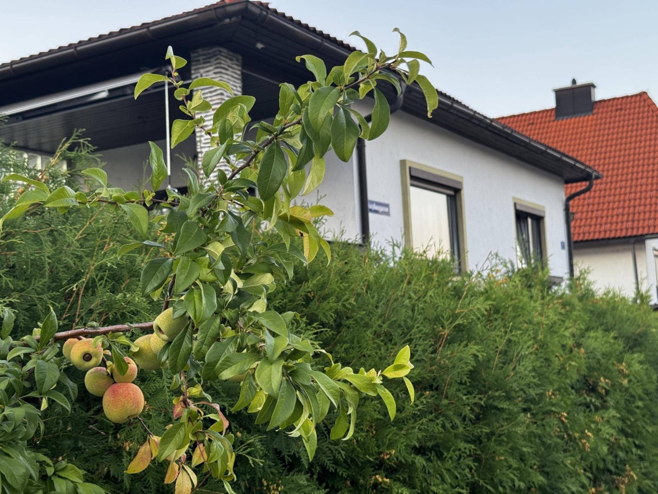 2 bedrooms Bungalow in Ternitz, Austria No. 254062