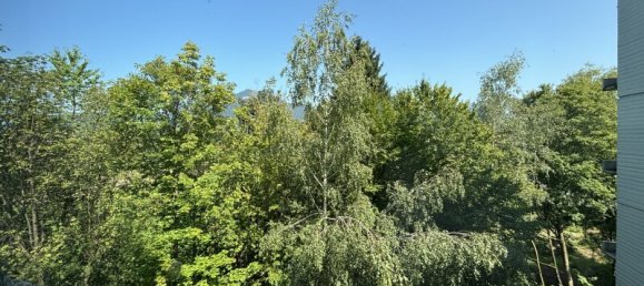 3 rooms Apartment in Salzburg, Austria No. 222971 2