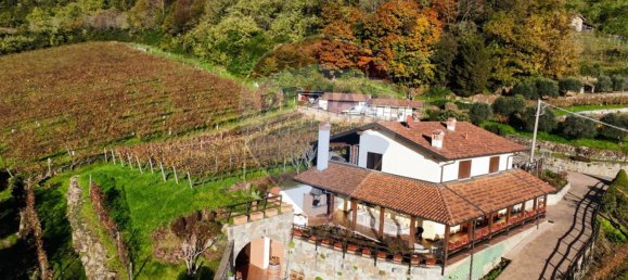 5-salle Maison à Castelli Calepio, Italy No. 52610 4