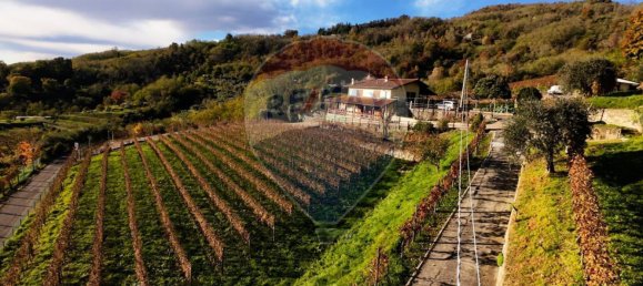 5-salle Maison à Castelli Calepio, Italy No. 52610 6