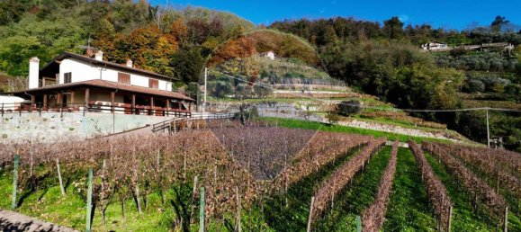 5-salle Maison à Castelli Calepio, Italy No. 52610 9