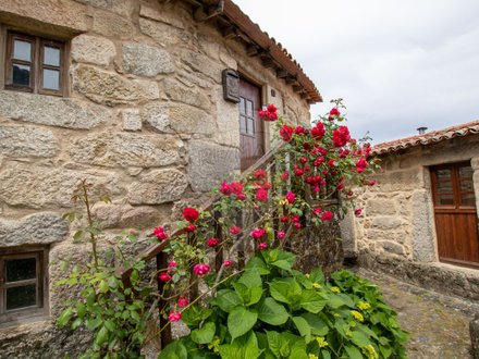 2 bedrooms House in Silgueiros, Portugal No. 188582