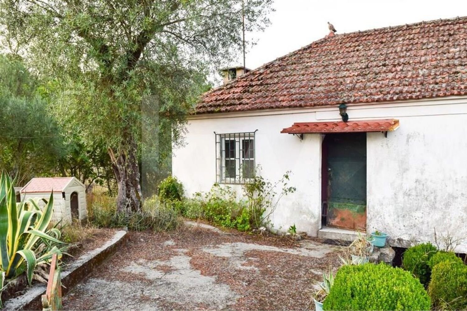 Casa de 3 dormitorios en Rio Douro, Portugal No. 36716