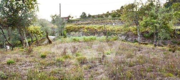 Casa de 3 dormitorios en Rio Douro, Portugal No. 36716 4