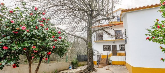 5 bedrooms House in Arega, Portugal No. 16563 43