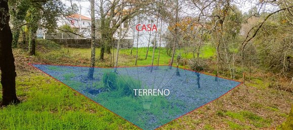 5 bedrooms House in Arega, Portugal No. 16563 17