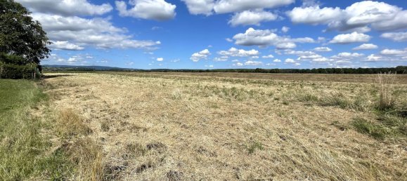 Terreno en Deutsch Schutzen-Eisenberg, Austria No. 255175 3