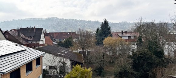 Дуплекс с 3 комнатами в Ремс-Мур, Германия № 14642 15