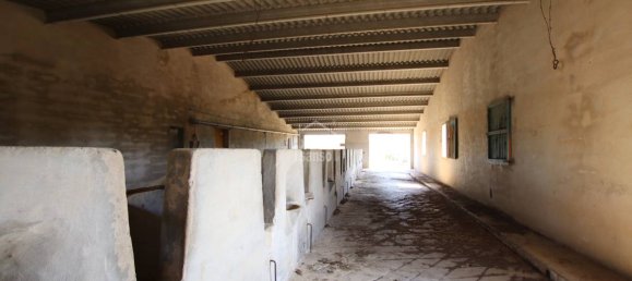 779m² Land in Alaior, Spain No. 3836 11