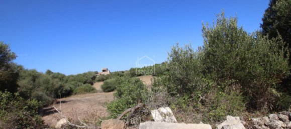 779m² Land in Alaior, Spain No. 3836 10