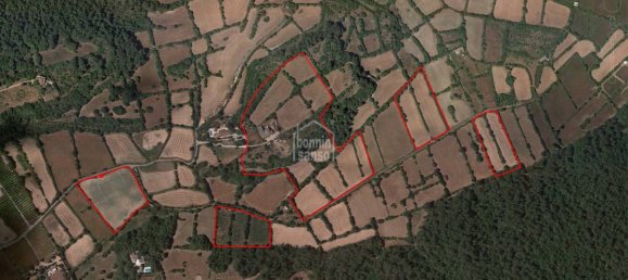 779m² Land in Alaior, Spain No. 3836 13