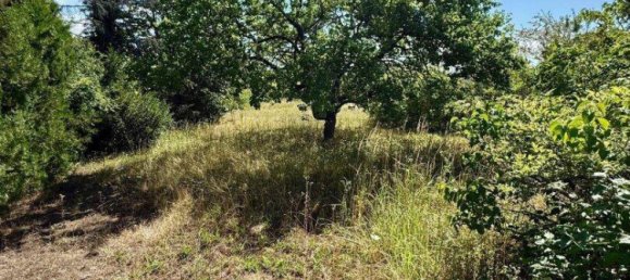 6 rooms Land in Hagenbrunn, Austria No. 223186 3