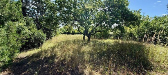 6 rooms Land in Hagenbrunn, Austria No. 223186 2