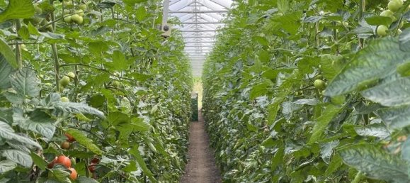 Quinta de 18 divisões em Ostalbkreis, Germany N.º 371767 4