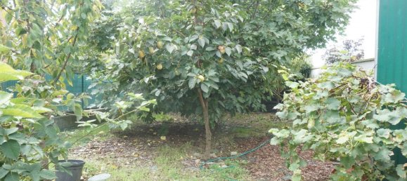 4 rooms Villa in Colorno, Italy No. 116468 45