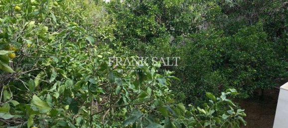 Moradia em banda T5 em Zebbug, Malta N.º 10855 6