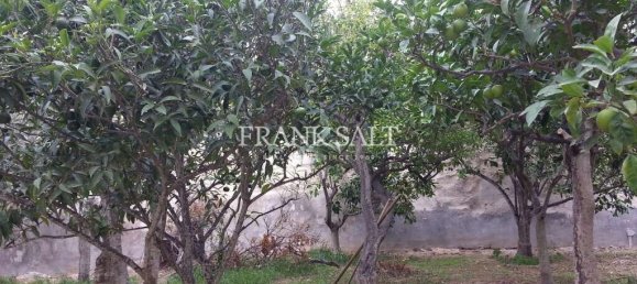 Moradia em banda T5 em Zebbug, Malta N.º 10855 2