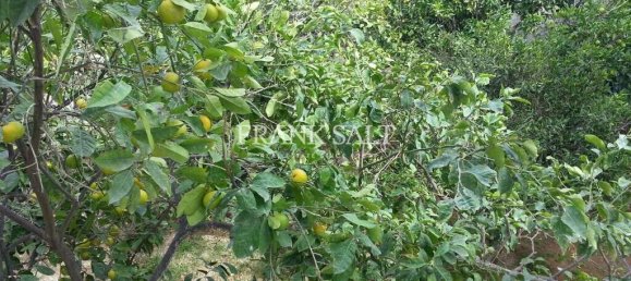 Moradia em banda T5 em Zebbug, Malta N.º 10855 4