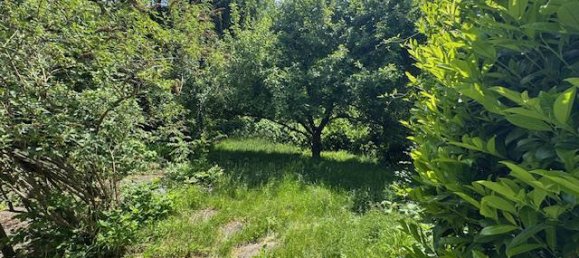 5 rooms House in Saarbrucken, Germany No. 291119 8