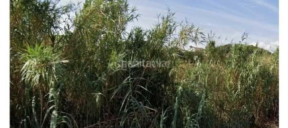  قطعة أرض في Caldes de Montbui, Spain 14688متر مربع رقم 157256 8