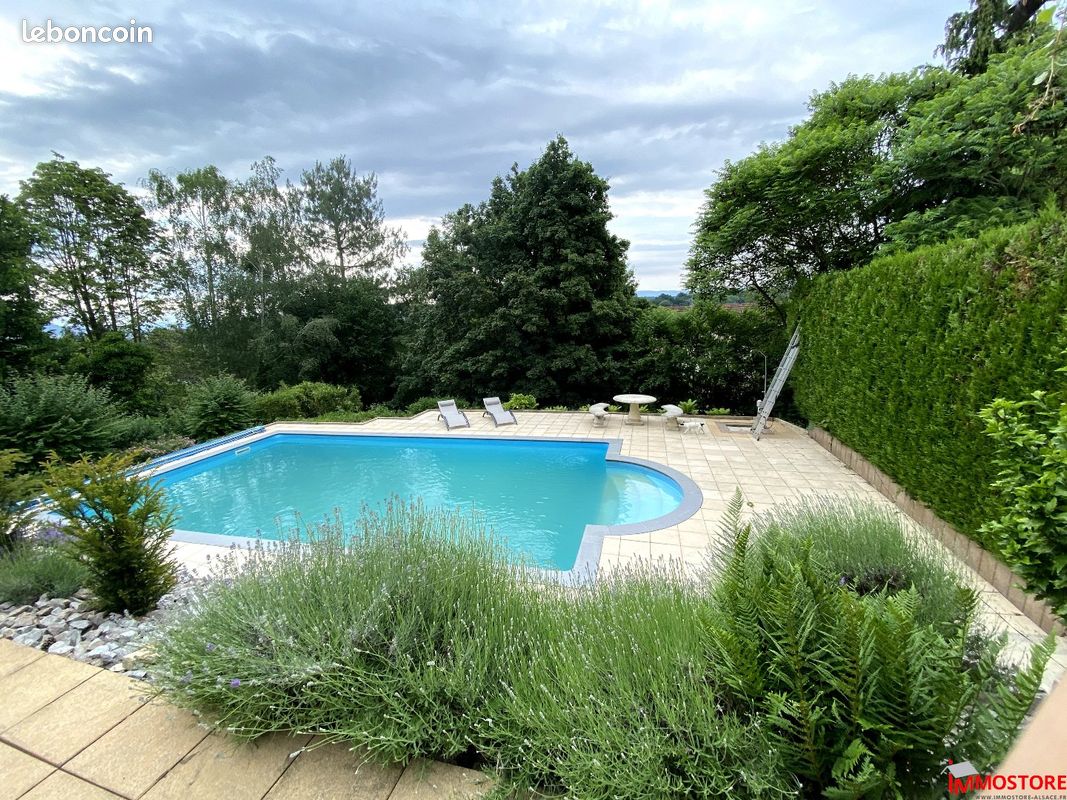 6 bedrooms Villa in Hegenheim, France No. 57681