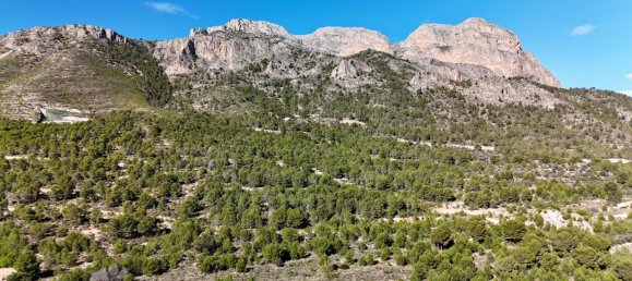 3 chambres appartement à vendre à La Alberca, Alicante, Valencian Community, Spain № 365712 8