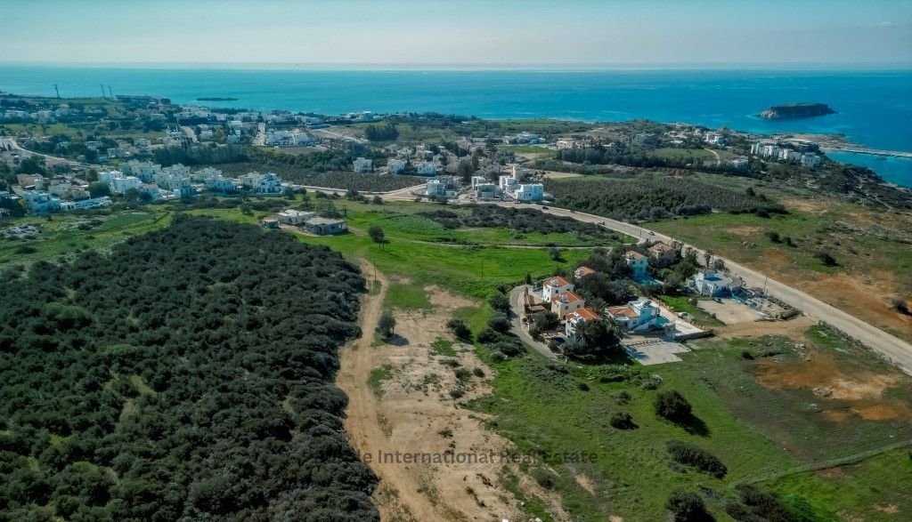 3 bedrooms Villa in Pegeia, Cyprus No. 21595