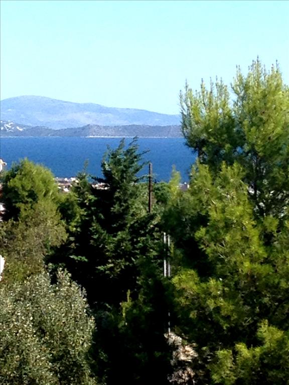 4 chambres Propriété commerciale à Marathon, Greece No. 6411