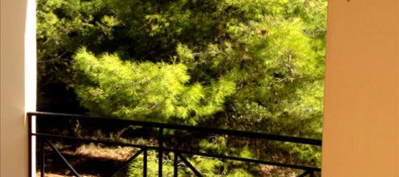 4 chambres Propriété commerciale à Marathon, Greece No. 6411 12