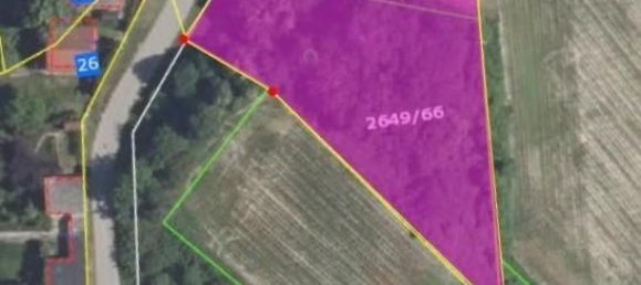 Terrain à Neufeld an der Leitha, Austria No. 134617 5