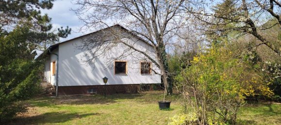 Бунгало с 5 комнатами в Катцельсдорф, Австрия № 249943 15