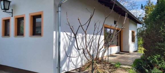 Бунгало с 5 комнатами в Катцельсдорф, Австрия № 249943 3