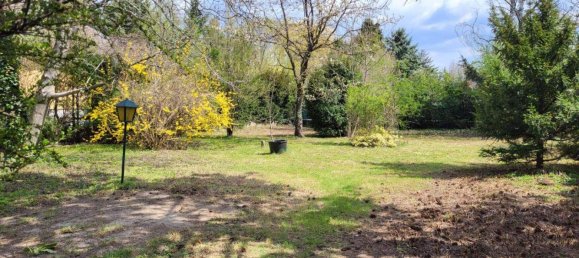 Бунгало с 5 комнатами в Катцельсдорф, Австрия № 249943 2