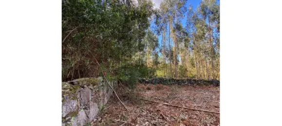 Terreno em Caminha, Portugal 1780 m² N.º 47168 4