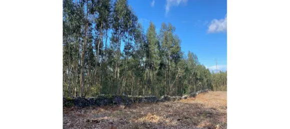 Terreno em Caminha, Portugal 1780 m² N.º 47168 5