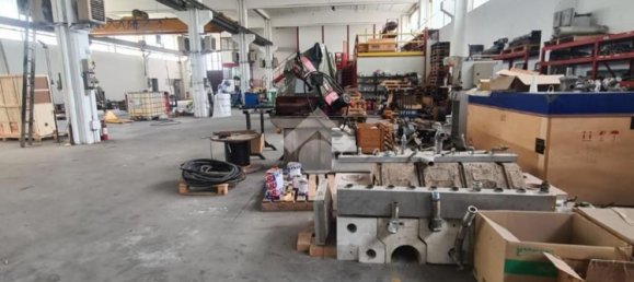 1668m² Warehouse in San Carlo Canavese, Italy No. 53965 3