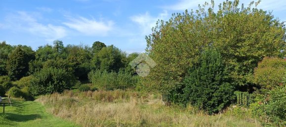 4 bedrooms House in Costigliole d'Asti, Italy No. 356662 9