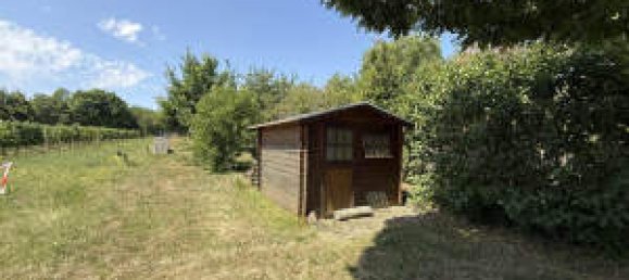 8 rooms Townhouse in Mainz-Bingen, Germany No. 334771 17