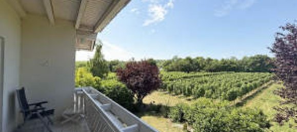 8 rooms Townhouse in Mainz-Bingen, Germany No. 334771 11