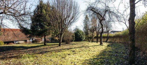 6-Zimmer Haus in Lannach, Austria, Nr. 243531 7