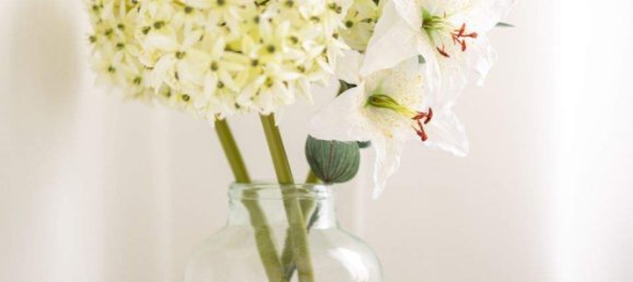 Terrain à Vienna, Austria No. 82703 17