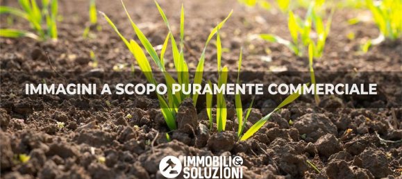 260m² Commercial property in Comignago, Italy No. 360330 20