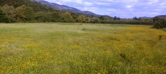 Hotel in Thesprotia, Greece 23000m², Nr. 6292 3